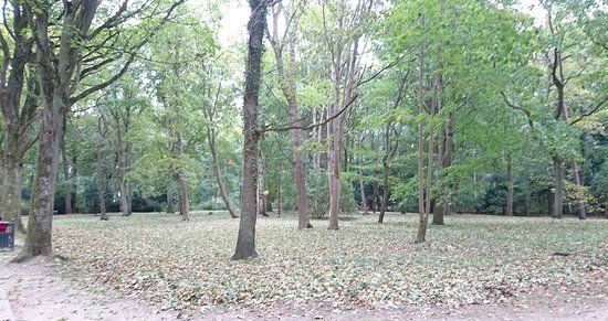 Park im. Jedności Narodowej